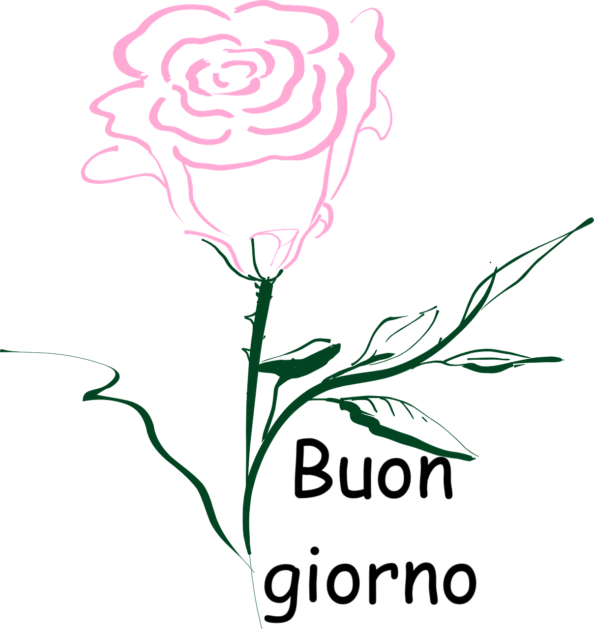 immagine stilizzata di una rosa su sfondo trasparente